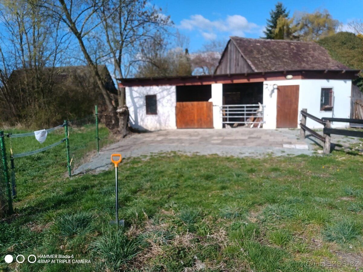 pronájmu stání pro koně blízko Jaroměře s pastvou.Bližší inf