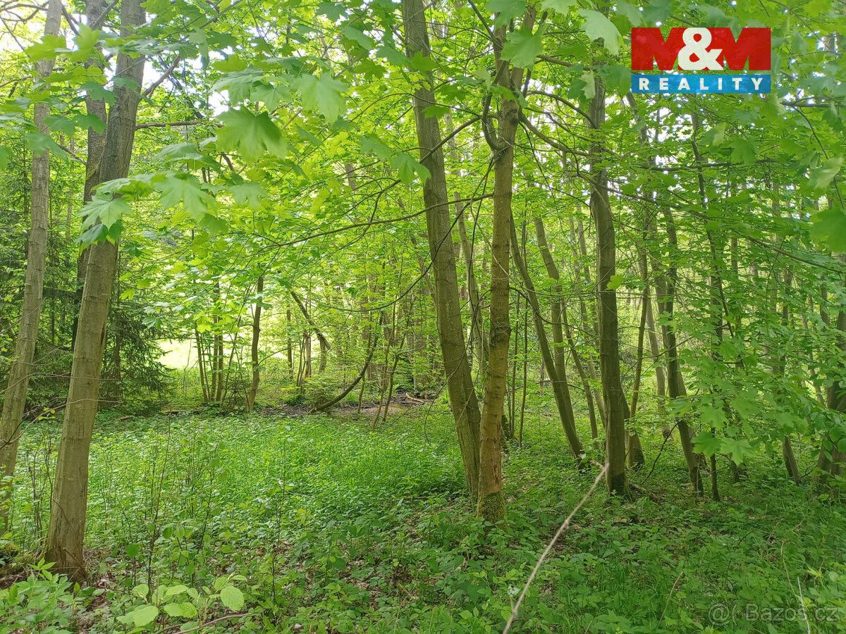 Nabízíme k prodeji rozlehlé louky o výměře 7967 m², situovan