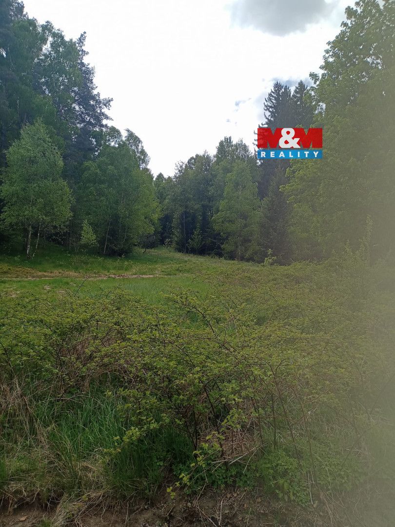 Nabízíme k prodeji lesní pozemek o rozloze 4526 m², situovan