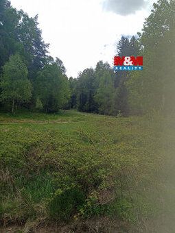 Nabízíme k prodeji lesní pozemek o rozloze 4526 m², situovan