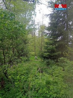 Nabízíme k prodeji lesní pozemek o rozloze 4526 m², situovan