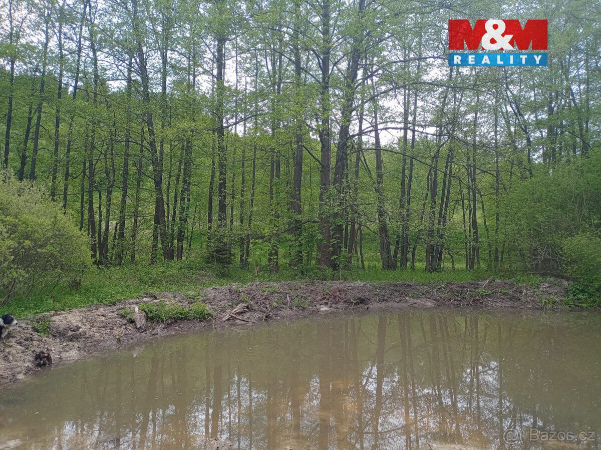 Nabízíme k prodeji krásné louky o výměře 6962 m² v katastrál