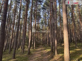, Dumrealit.cz Vám zprostředkuje prodej lesa v katastrálním 