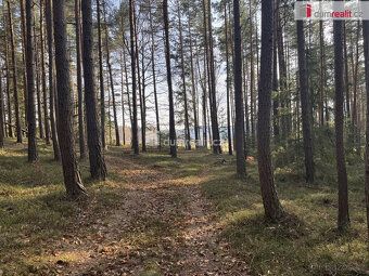 , Dumrealit.cz Vám zprostředkuje prodej lesa v katastrálním 