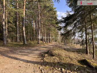 , Dumrealit.cz Vám zprostředkuje prodej lesa v katastrálním 