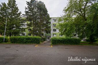 Nabízíme vám k podnájmu prosvětlený a útulný byt o dispozici