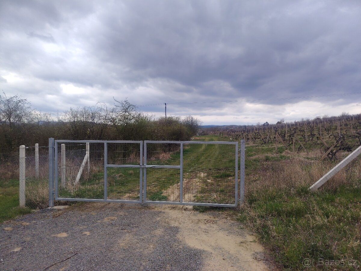 Jedná se o pozemek s vinici u hlavní cesty směrem na Velehra