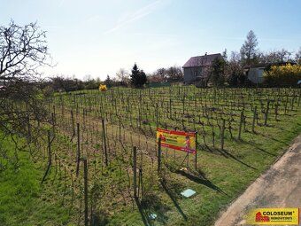 Ev.č. E3419Z004 Exkluzivní stavební pozemek 3 428 m² s výhle