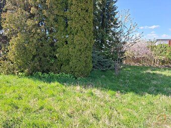 Nabízíme na prodej pozemek o výměře 308 m² v Těchově, části 