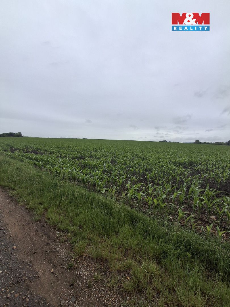 Prodej pole o výměře 30 161 m² (3,0161 ha) v katastrálním úz