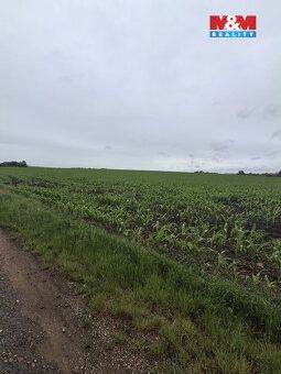 Prodej pole o výměře 30 161 m² (3,0161 ha) v katastrálním úz