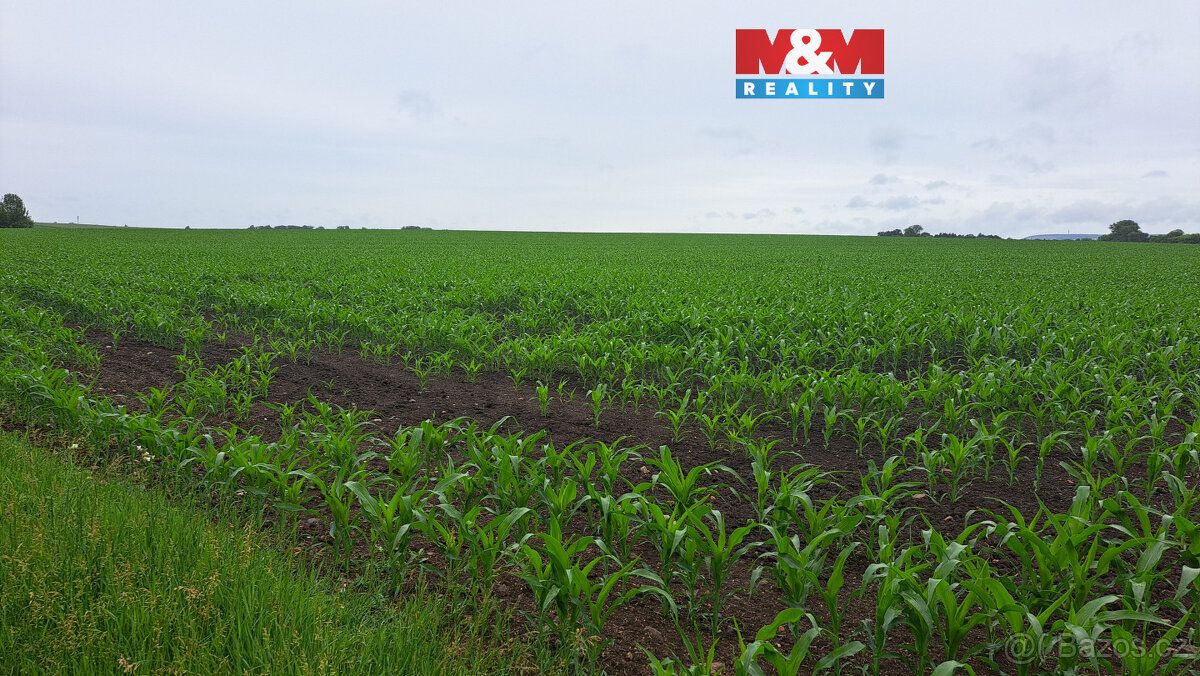 Prodej pole o výměře 30 161 m² (3,0161 ha) v katastrálním úz