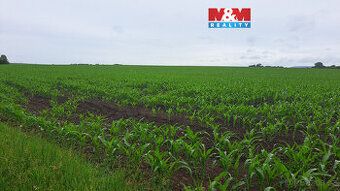 Prodej pole o výměře 30 161 m² (3,0161 ha) v katastrálním úz