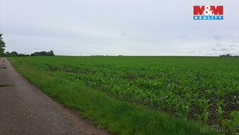 Prodej pole o výměře 30 161 m² (3,0161 ha) v katastrálním úz