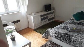 CZ: Pronajmu vybavený pokoj (dvoulůžko, komoda, křeslo) v ho