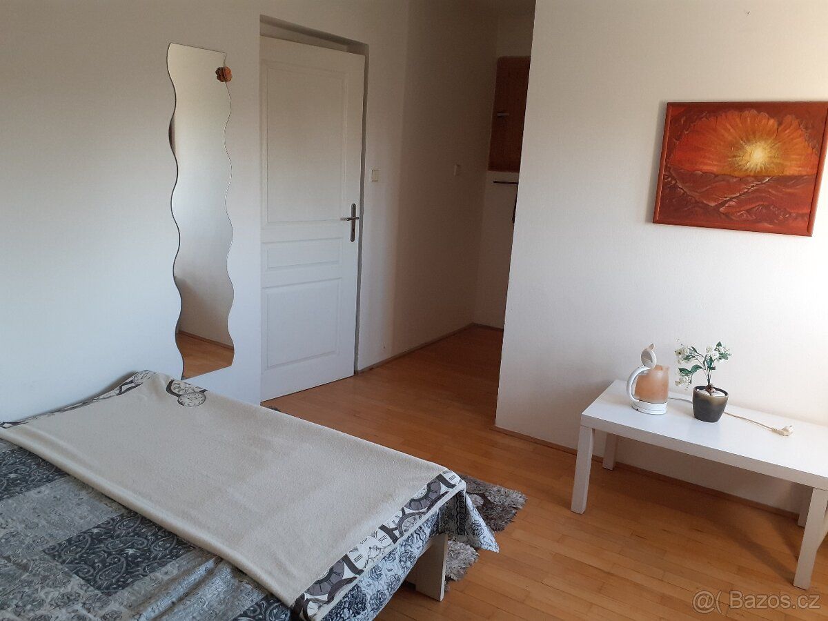 CZ: Pronajmu vybavený pokoj (dvoulůžko, komoda, křeslo) v ho