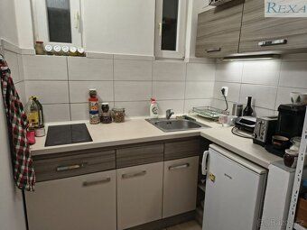 Pronájem bytu 1+1, sklep, zahrádka, Střední ulice, Brno Pona