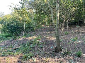 Dobrý den, prodám pozemek o velikosti 1100m2 v Bílině. Jedná