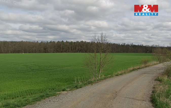 Investiční lesní pozemek s potenciálem těžby písku – Plzeň-s