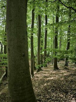 Představujeme vám spoluvlastnický podíl 1/2 pozemku určeného