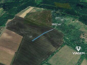 Prodám, nebo pronajmu vinohrad o výměře 4142 m2 v katastru o