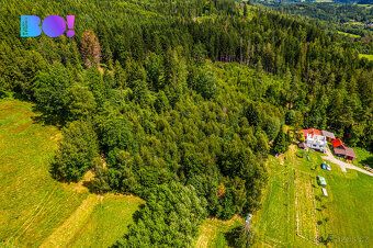 Pozemek určený k plnění funkcí lesa.
Parc. č. 2884/118 s nav