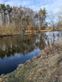 Nabízím k pronájmu rekreační chatu v lesíku 3 km od Soběslav
