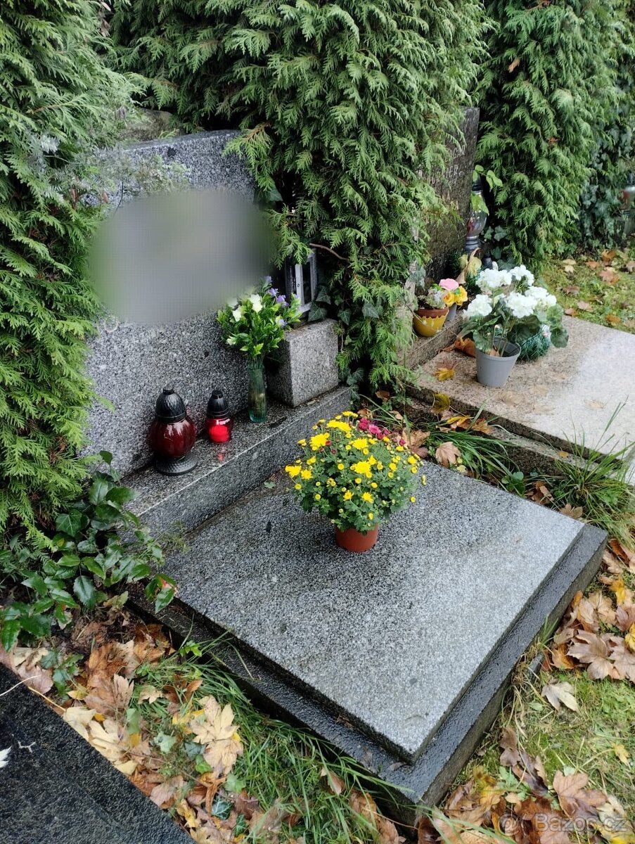 Přenechám pronájem hrobového místa včetně hrobu na Ústředním