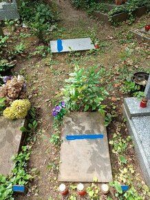 Exkluzivní hrobové místo Malvazinky.
Postoupení nájemního pr