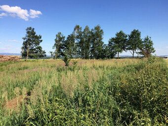 Nabízíme k pronájmu pozemek zahrady - louku (býv.paseku) ned
