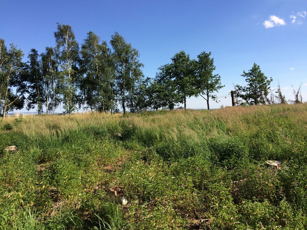Nabízíme k pronájmu pozemek zahrady - louku (býv.paseku) ned