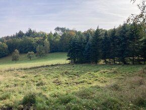 Nabízíme k prodeji pozemek o velikosti 1390 m2 v klidné část
