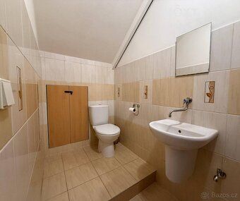 Pronájem komerčního prostoru 25 m², Masarykovo náměstí, Koni