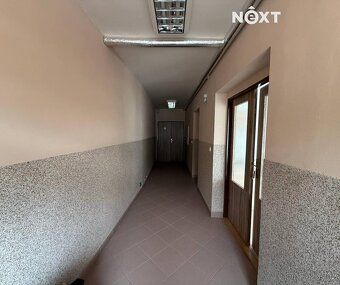 Pronájem komerčního prostoru 25 m², Masarykovo náměstí, Koni