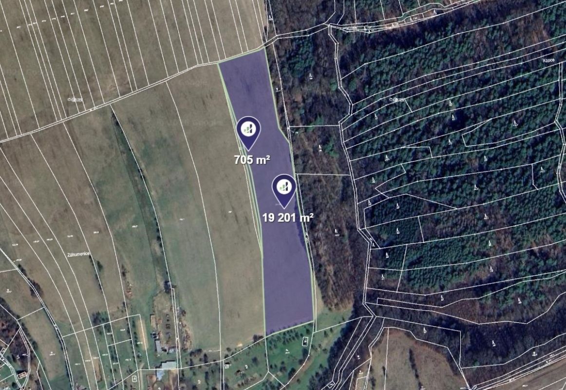 Ev.č. 2026-06-10-081541 Ve výhradním zastoupení vlastníka Vá