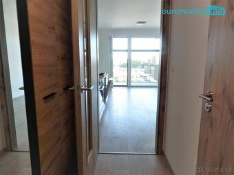 Nabízíme k pronájmu byt 1+kk 30 m2 s balkónem 5 m2 v novosta