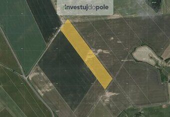 Ev.č. 2025-03-25 Již 10 let jsme vaše pravá ruka přes invest