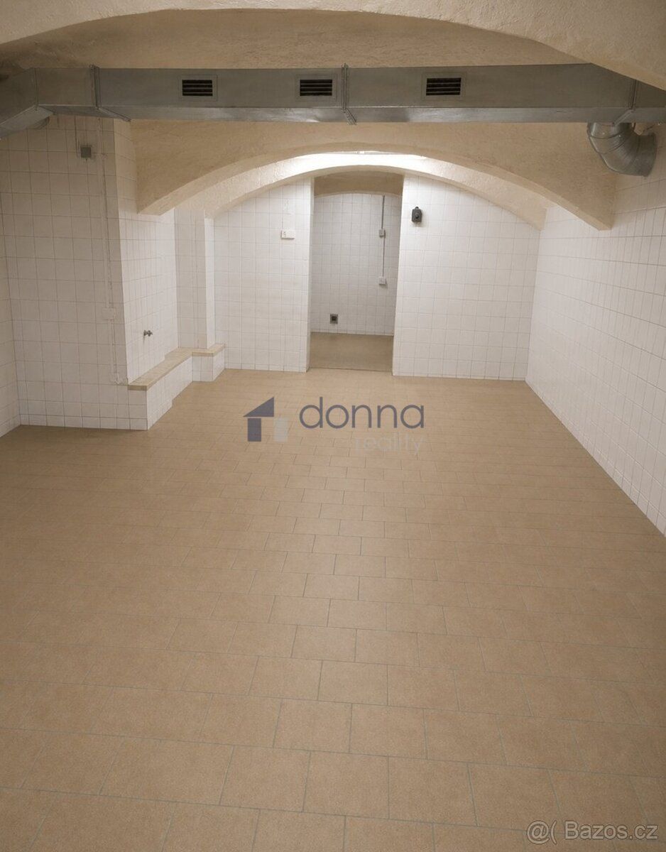 Nabízíme pronájem sklepních prostor o celkové ploše 220m², u