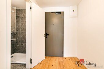Pronájem, byty/1+kk, 29 m2, Bratislavská 946/82, 60200 Brno,