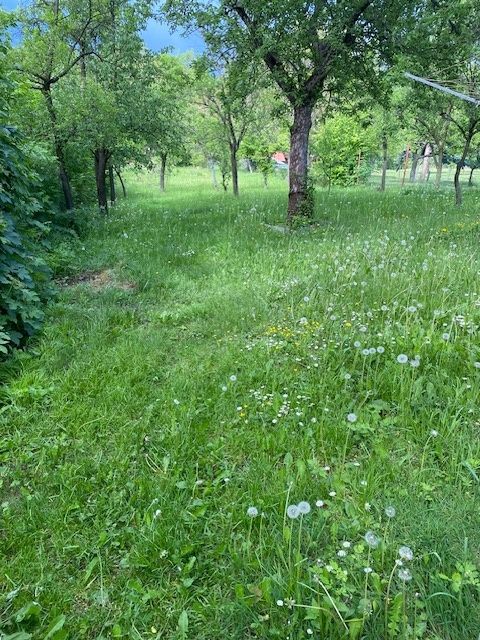 Pronajmu zahradu na Chvalčově, u Bystřice pod Hostýnem, cca 