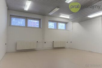 Nabízíme k pronájmu obchodní prostor o výměře cca 42,5 m² v 