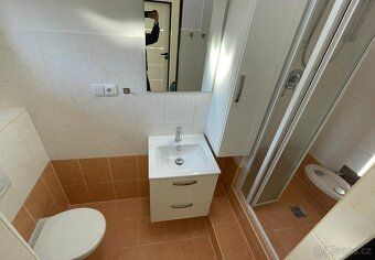 Nabízím k pronájmu světlý byt 1+kk o velikosti 34 m² v Praze