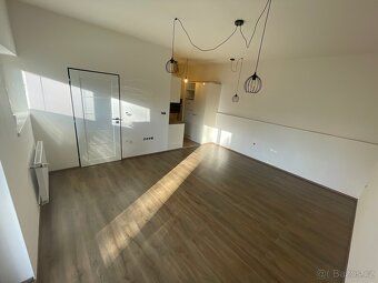 Nabízím k pronájmu světlý byt 1+kk o velikosti 34 m² v Praze