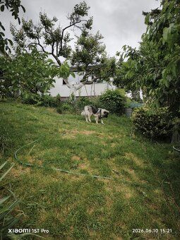 PRODÁM ZATEPLENOU CHATU 2+1 Nový Lískovec - 484 m² + krbová 