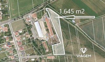 Prodám spoluvlastnický podíl o velikosti 3/4 na lesním pozem