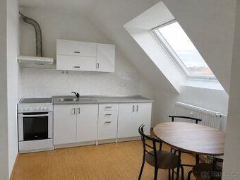 Pronájmu větší byt 1+1 35m2 - apartmány vedle Koveru - Slezs