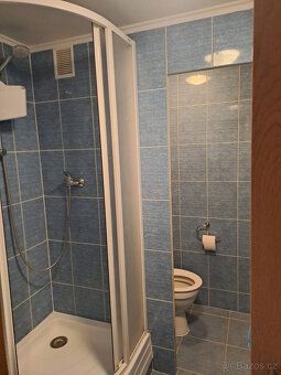 Pronajmu prostorný a z velké části vybavený byt 1+1 o výměře