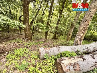 Nabízíme k prodeji pozemek o rozloze 333 m² v katastrálním ú
