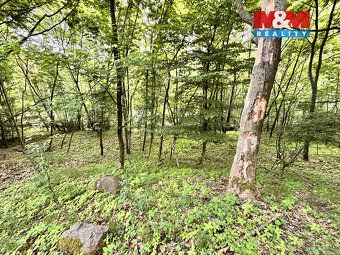 Nabízíme k prodeji pozemek o rozloze 333 m² v katastrálním ú