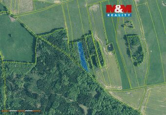 Prodej lesního pozemku o celkové výměře 5564 m2. Po hranici 